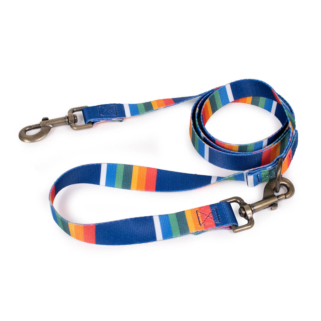 Pendleton National Park Convertible Adventure Dog Leash: Joshua Tree / Thin (3/4" wide)