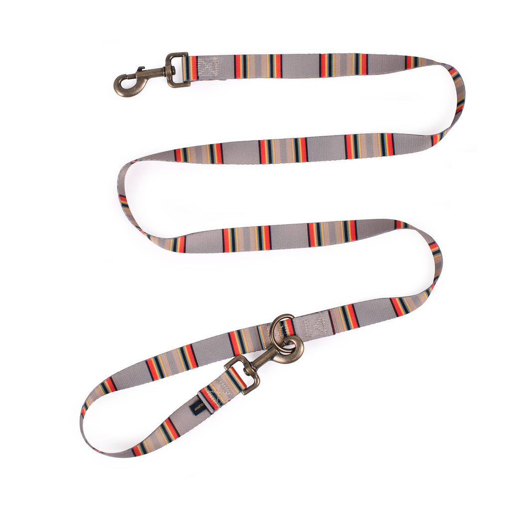 Vintage Convertible Adventure Dog Leash