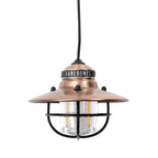 Edison Pendant Light: Antique Bronze
