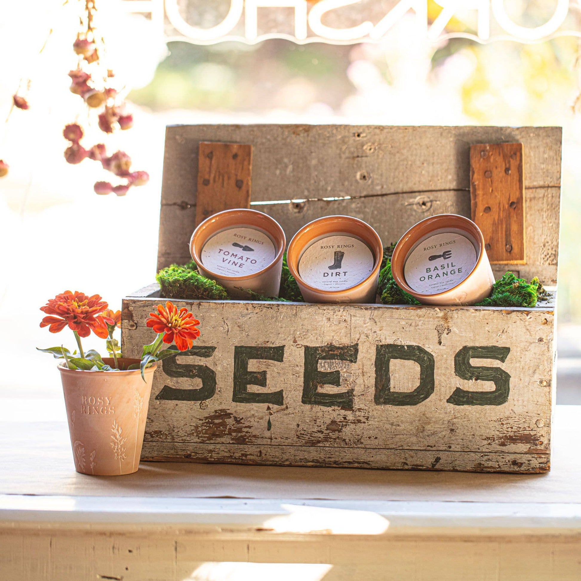 Tomato Vine Garden Pot Candle + Plantable Seed Dust Cover
