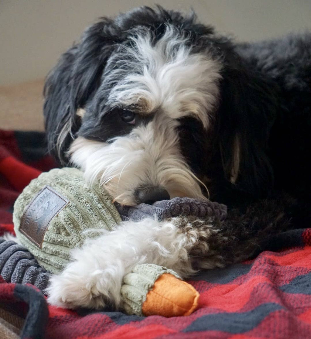 Dog lying on a red and blue plaid blanket with a toy