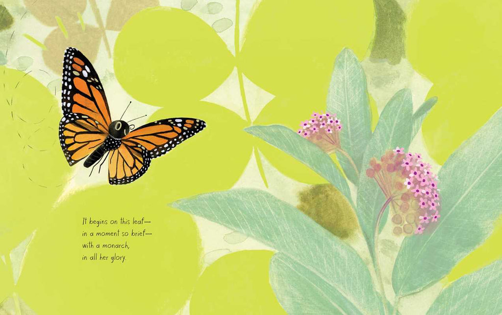 Monarch by Kirsten Hall: Hardcover; 48 pages / English