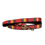 Park Hiker Dog Leash