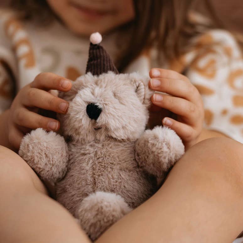 Child holding a small teddy bear with a brown hat
