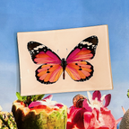 Ben's Garden - Pink Sardinia Butterfly Decoupage Glass Tray: 4"X 6"