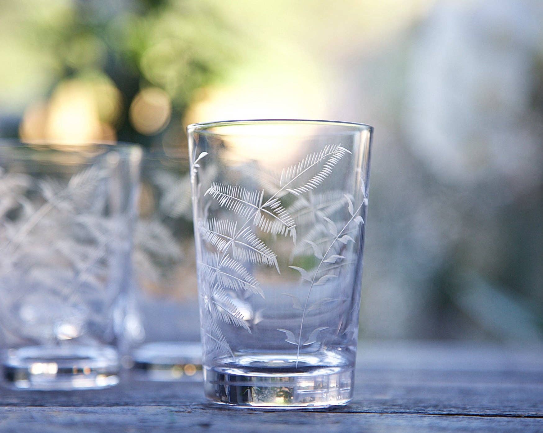 Pair Crystal Tumblers with Fern Design
