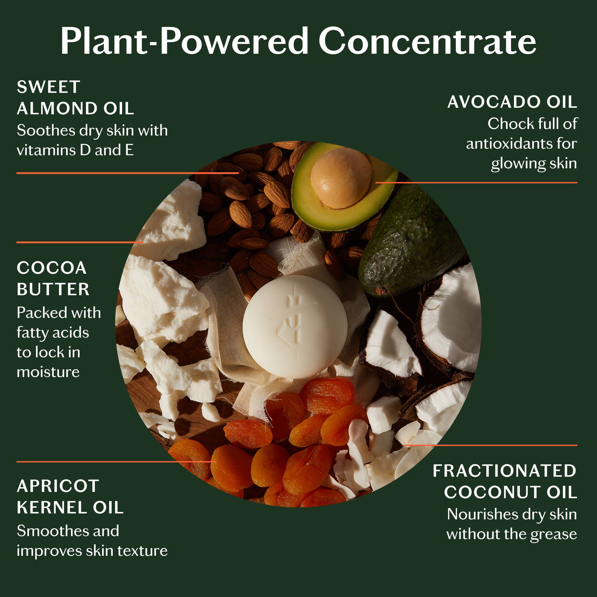 Grounding Stone | Lotion Bar: Mini (1 oz)