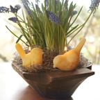 Song Bird Candles – 100% Pure Beeswax