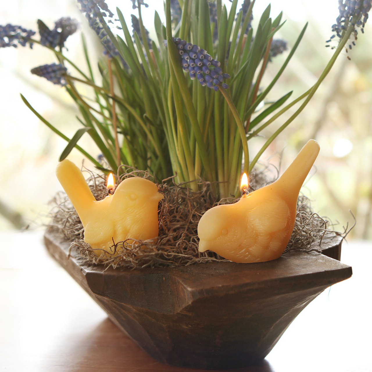 Song Bird Candles – 100% Pure Beeswax | Hand-Sculpted
