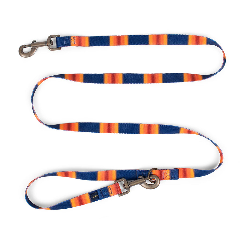 Pendleton National Park Convertible Adventure Dog Leash: Acadia / Thin (3/4" wide)