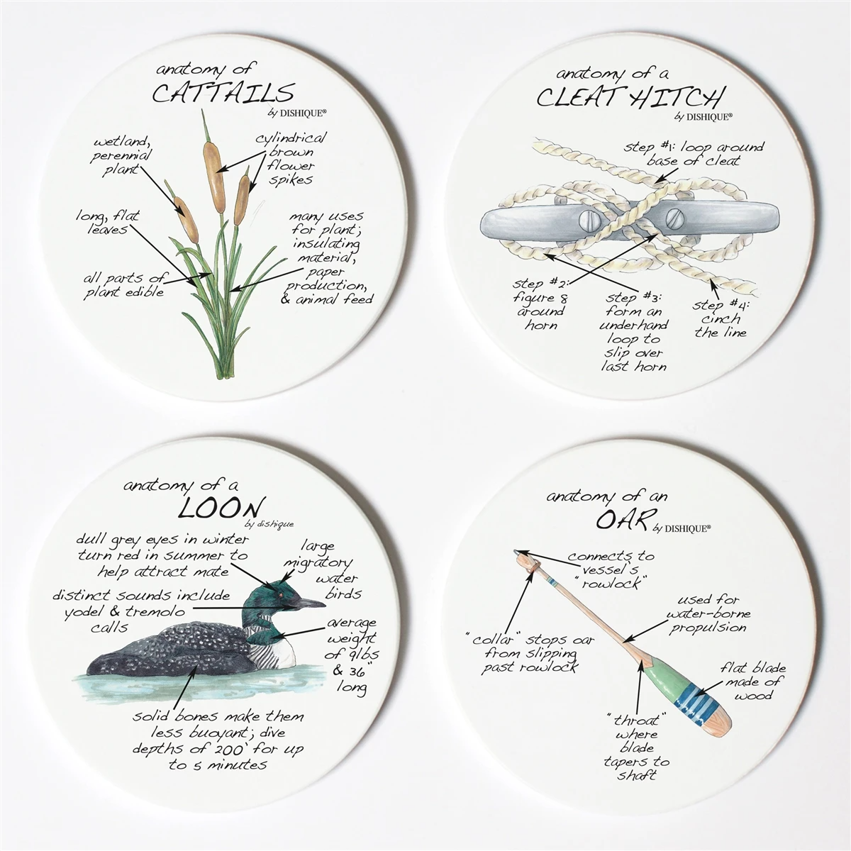 Lake Life Anatomy Coasters