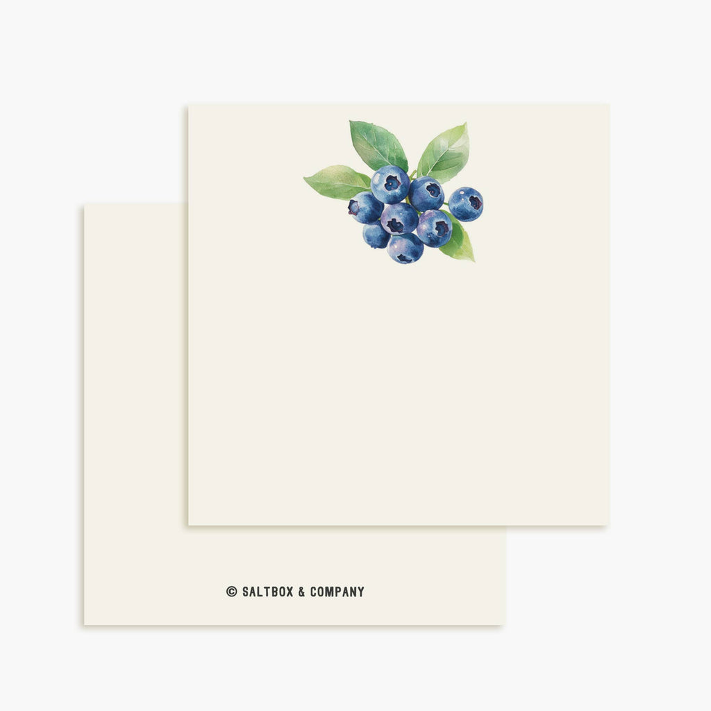Blueberries Mini Notes | Set of 50