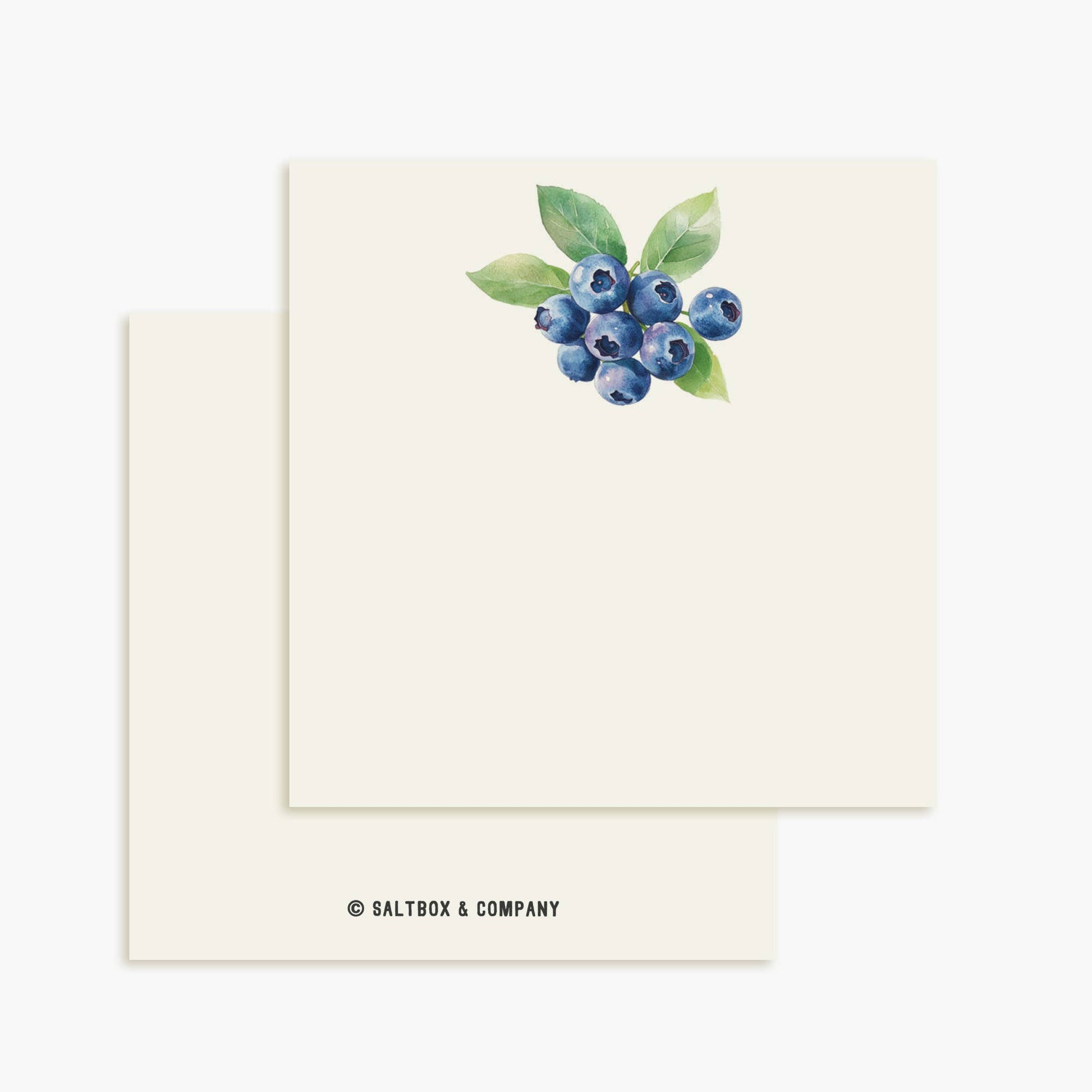Blueberries Mini Notes | Set of 50