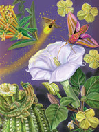 Meet the Pollinators: A Night and Day Adventure