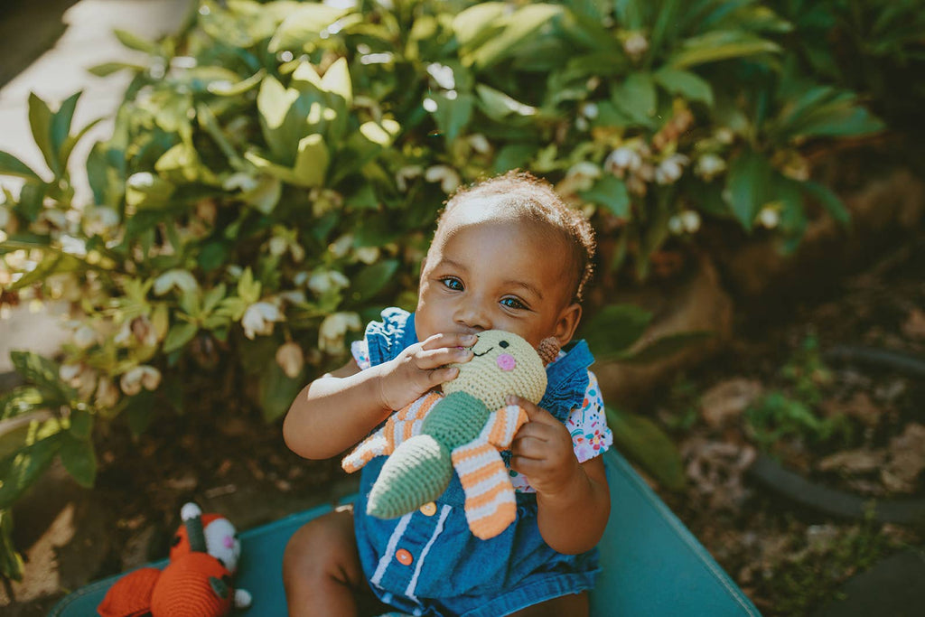 Winged Dragonfly Rattle - Garden-Themed Toy: Blue