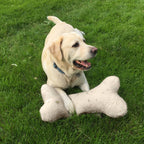 Sherpa Bone Pillow Toy with Squeaker