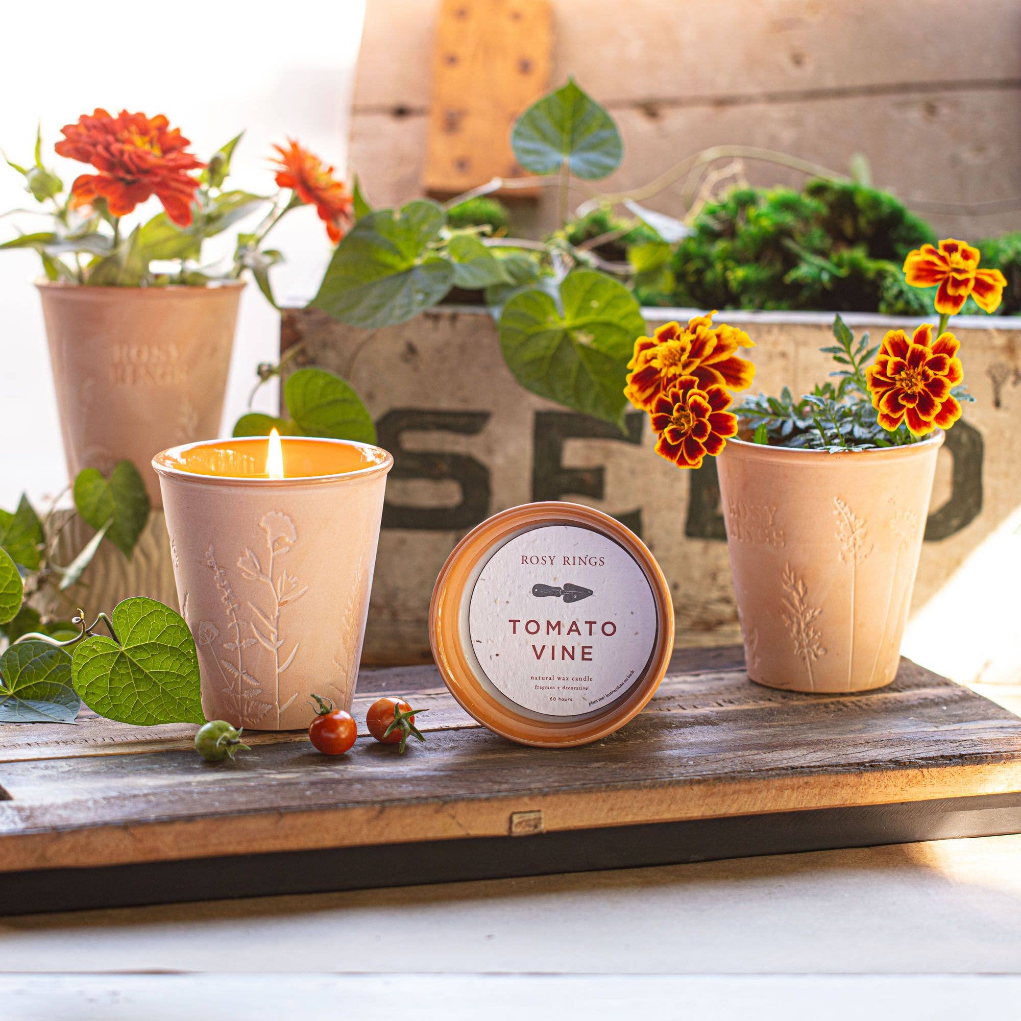 Tomato Vine Garden Pot Candle + Plantable Seed Dust Cover
