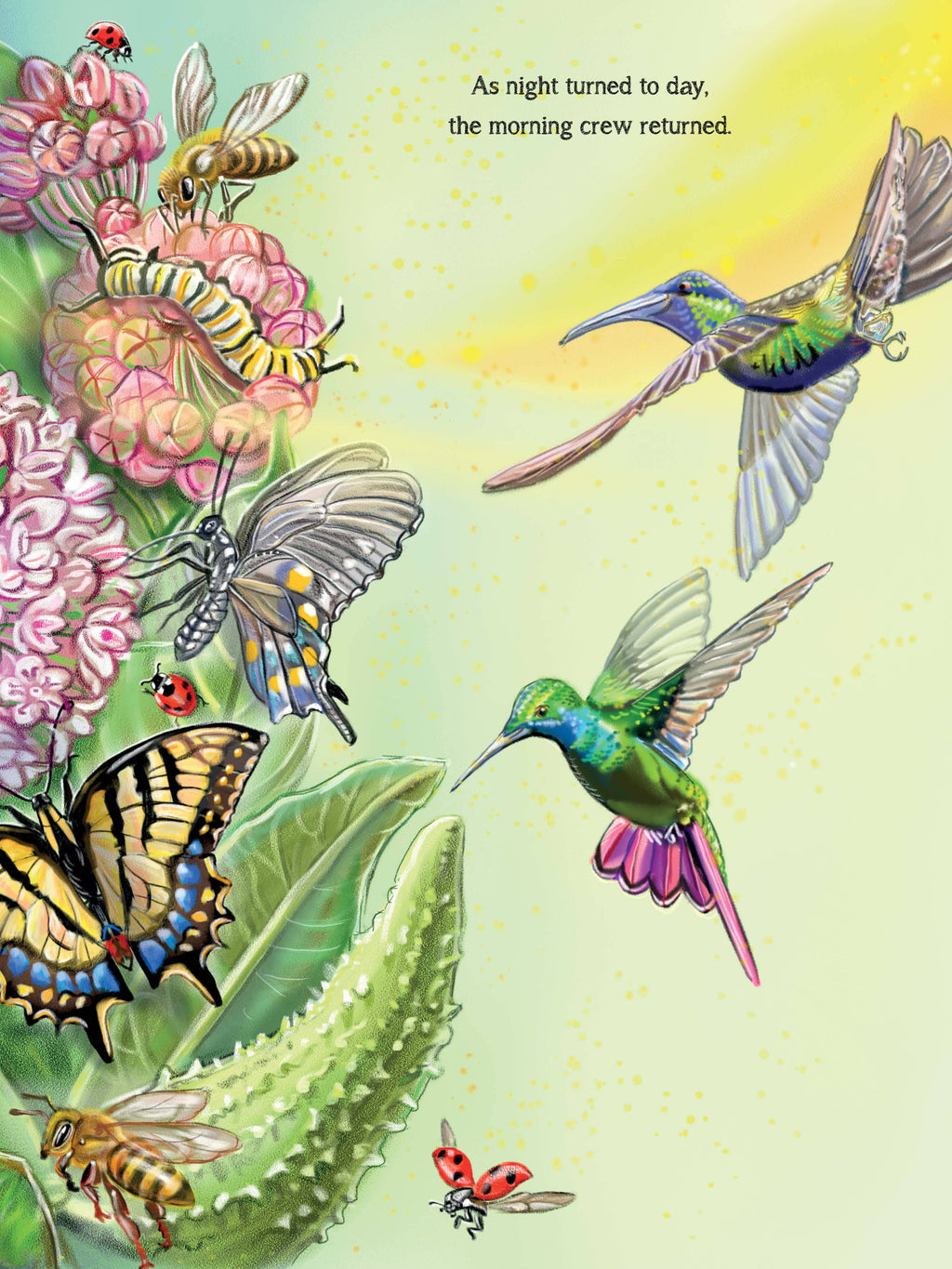 Meet the Pollinators: A Night and Day Adventure