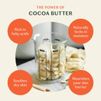 Daily Stone | Lotion Bar: Mini (1 oz)