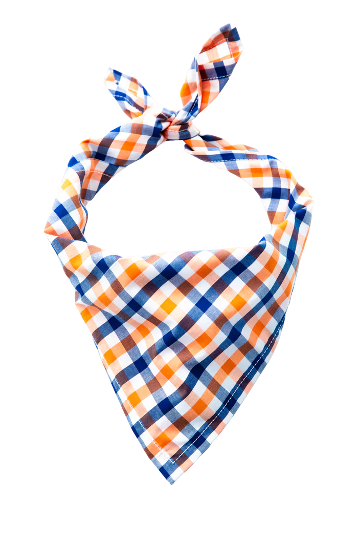 Falmouth Picnic Bandana