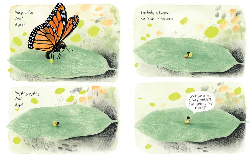 Monarch by Kirsten Hall: Hardcover; 48 pages / English