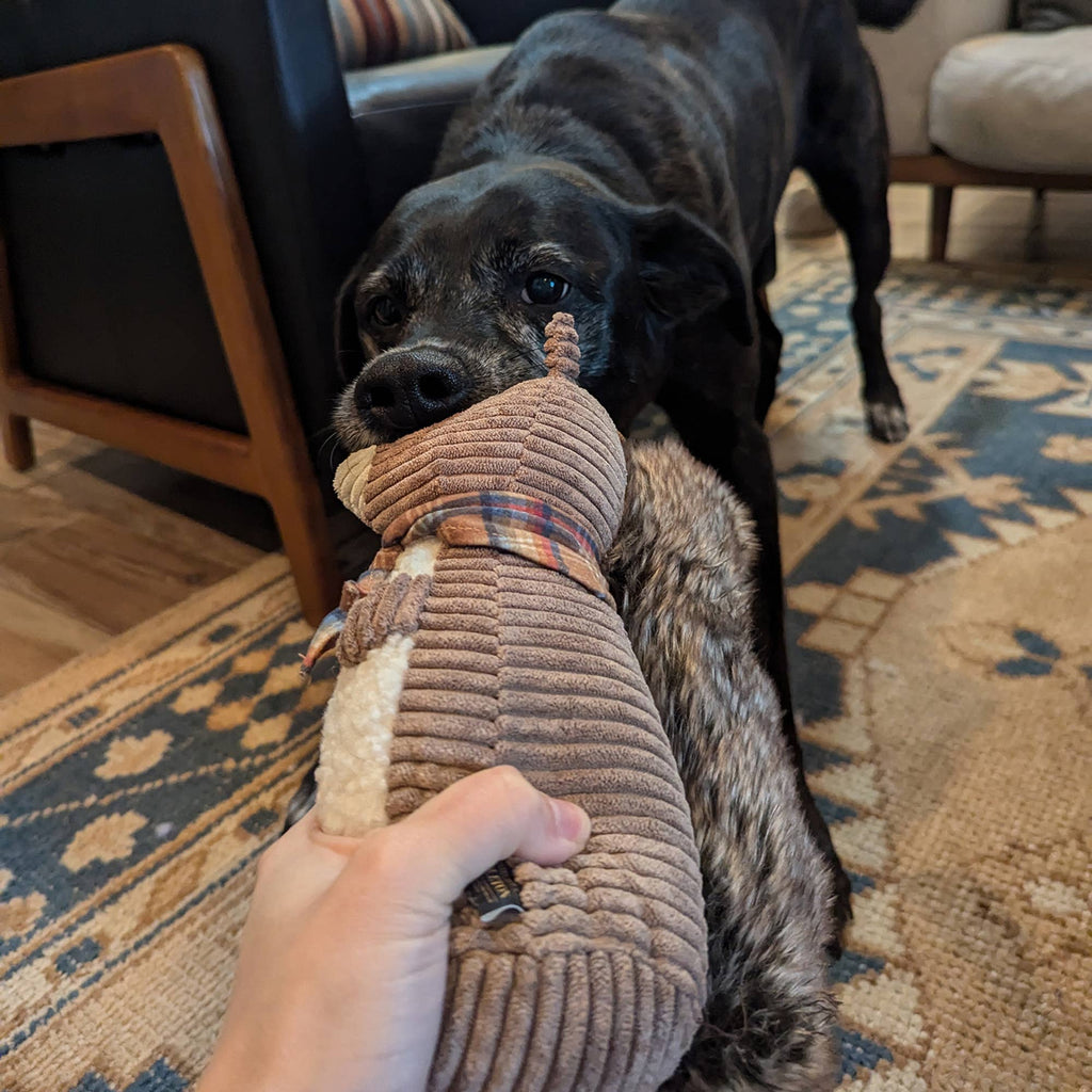 Pendleton Plush Squirrel Dog Toy — Large