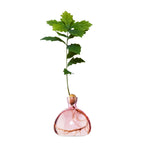 Acorn Vase