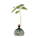 Acorn Vase