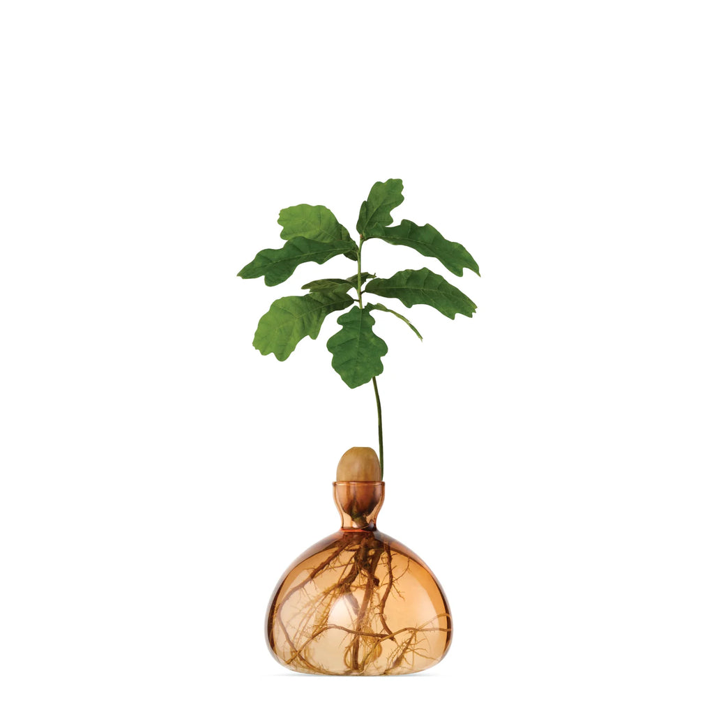 Acorn Vase