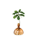 Acorn Vase