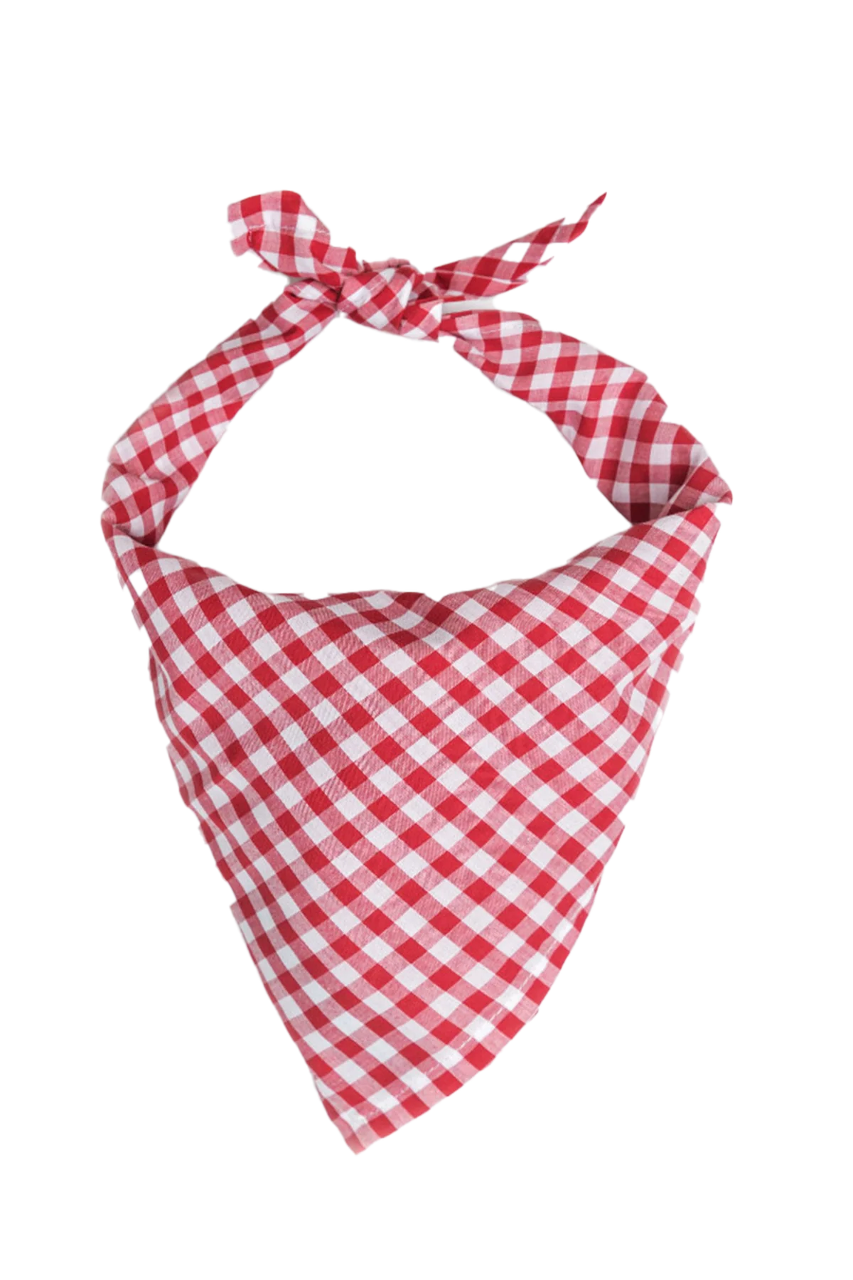 Vineyard Picnic Bandana